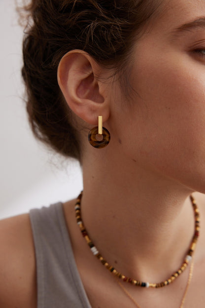 Circular Tiger's Eye Stone Earrings